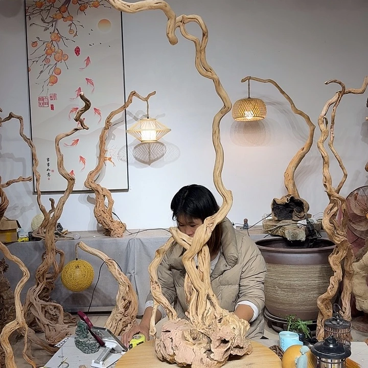 ｜***赐杜鹃根艺术中心根