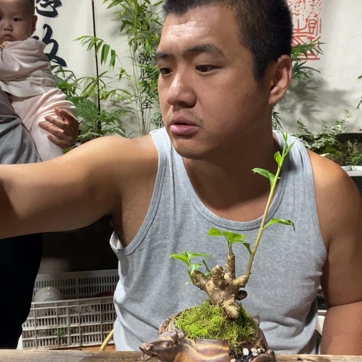 静***遥无花朵退款拉黑拉黑135