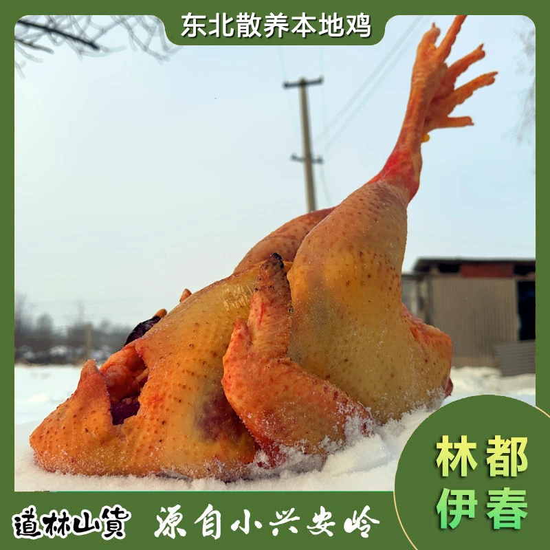 东北农户散养土鸡本地鸡溜达鸡 包冰率不含冰