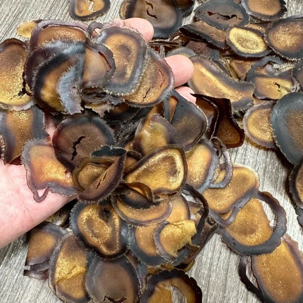 鹿茸轻微破腊片，营养滋补