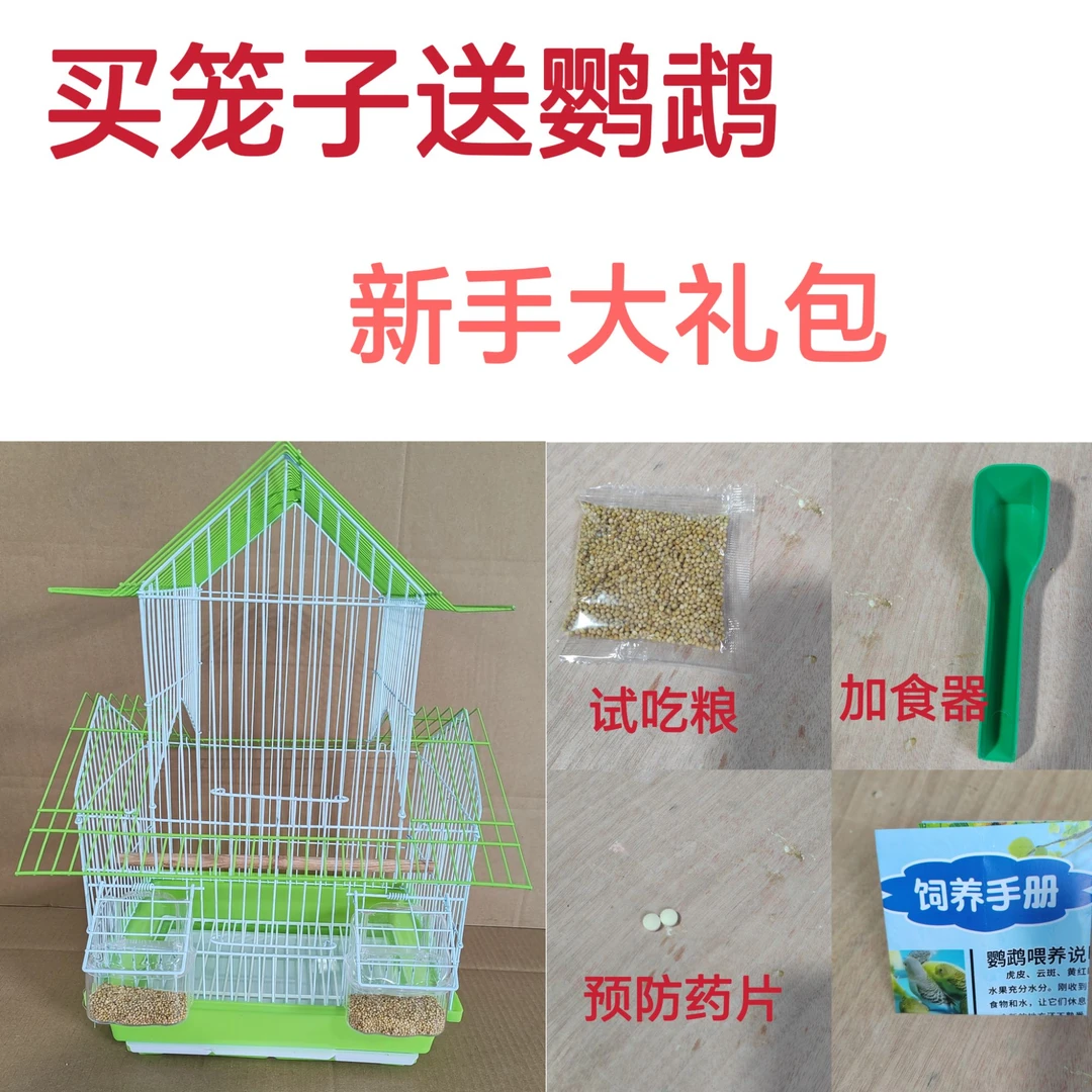 鸟笼笼子养殖笼新手大礼包四种颜色（粉色，紫色，蓝色，绿色）