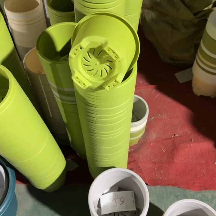 球根1号10个果绿色的口径17花盆