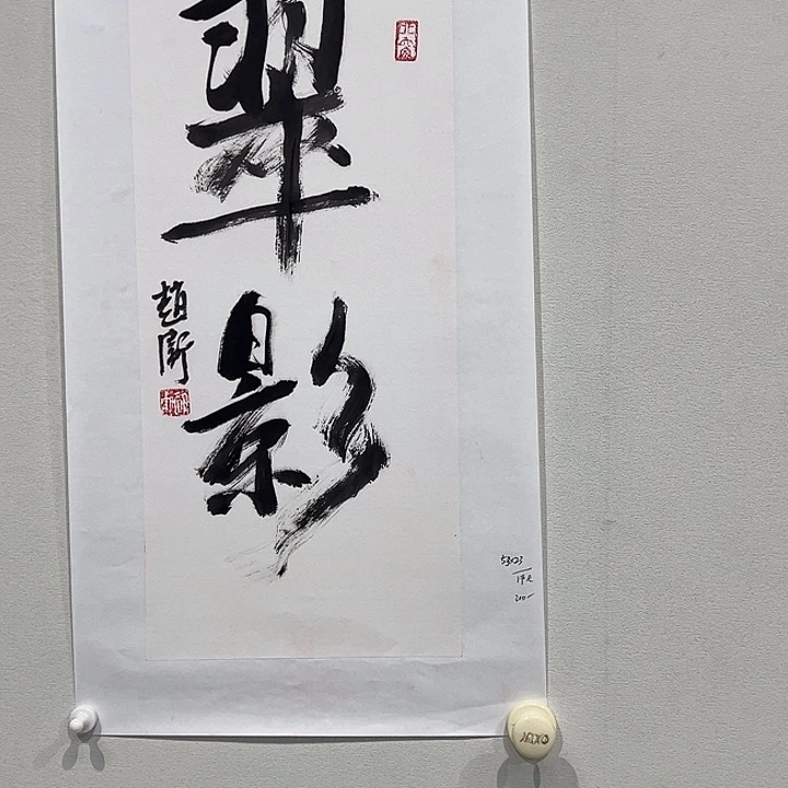 国画赵卫老师国画作品