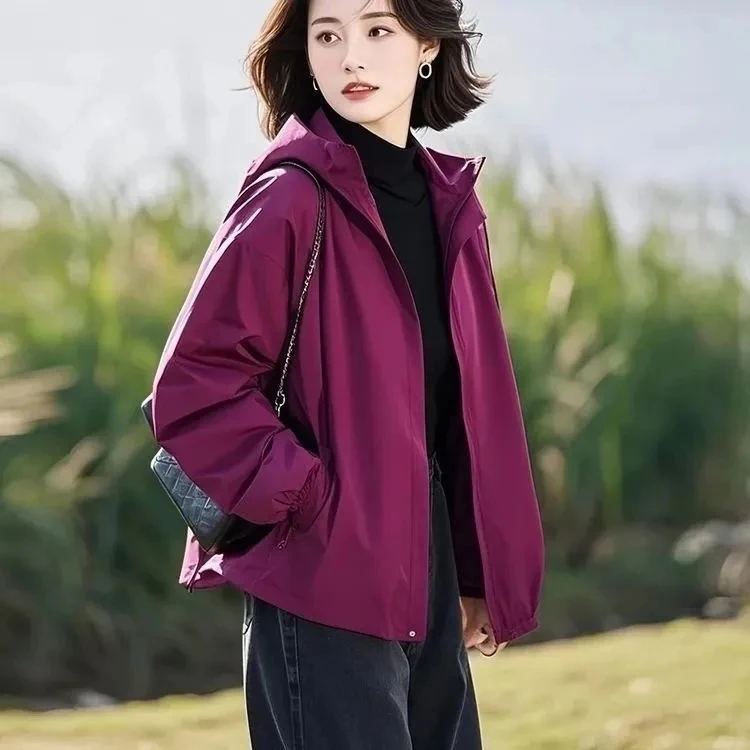 超火小个子超好看休闲设计感小众高贵独特漂亮梅子色外套女早春季