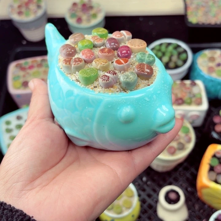 582零下地区记得拍保温箱满18包邮