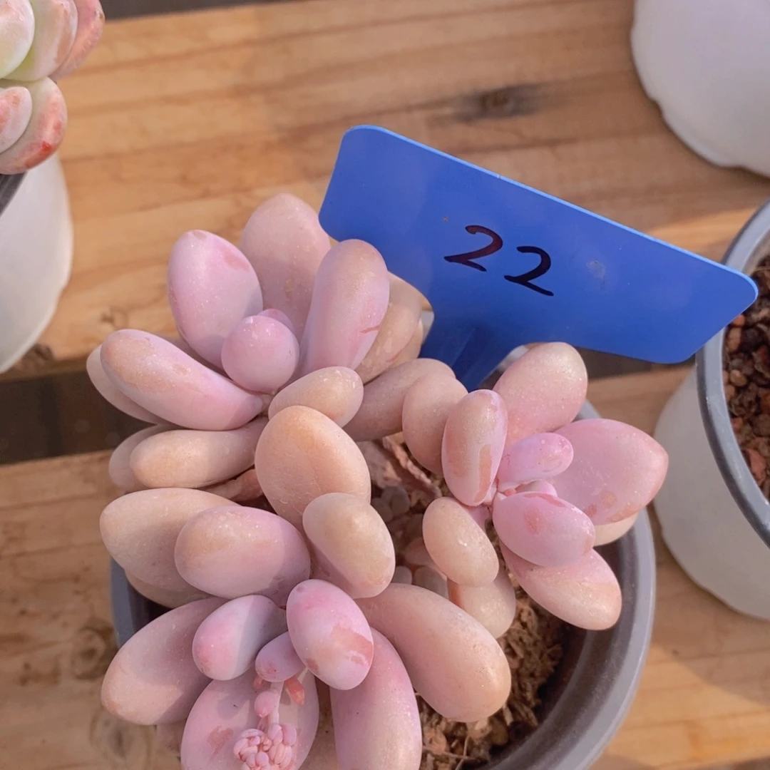 周末愉快，一单包邮