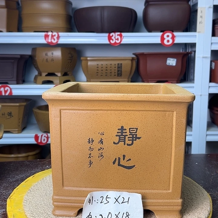紫砂花盆你在一起