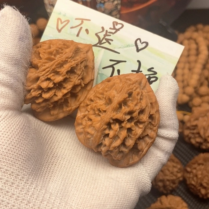 ?*男秦岭秦大龙核桃