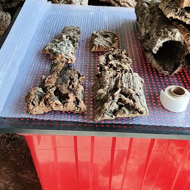 一物一拍一物一发