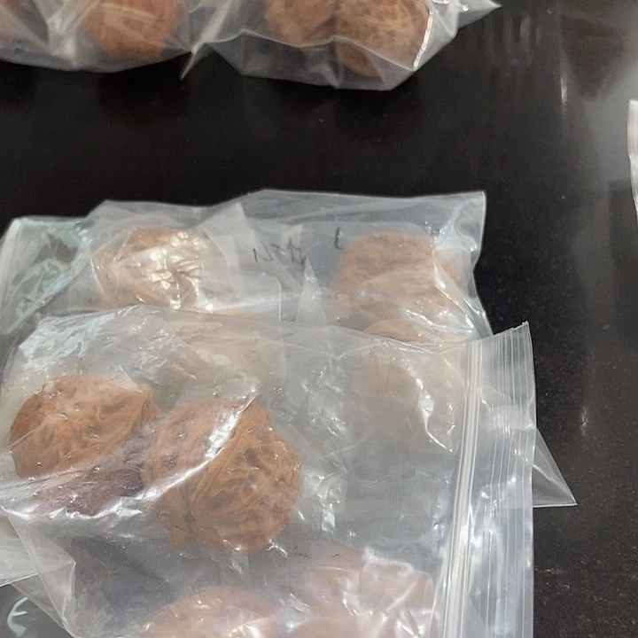 吊坠文玩核桃一单4对2