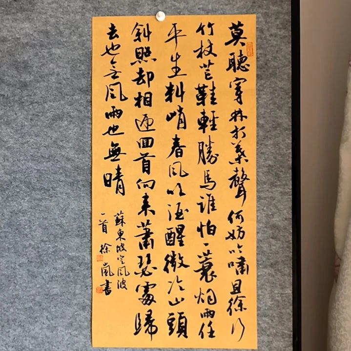 书法定风波四尺四开两平尺34*68厘米手写书法