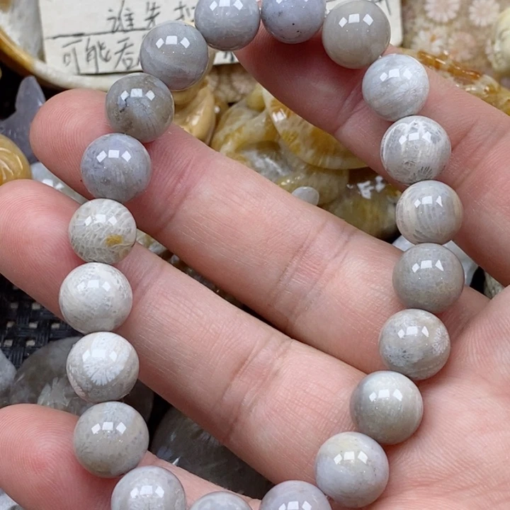 颈饰未镶嵌硅化珊瑚（珊瑚玉）