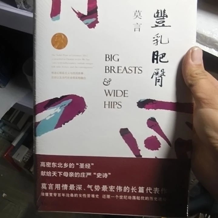 丰乳肥臀莫言精装