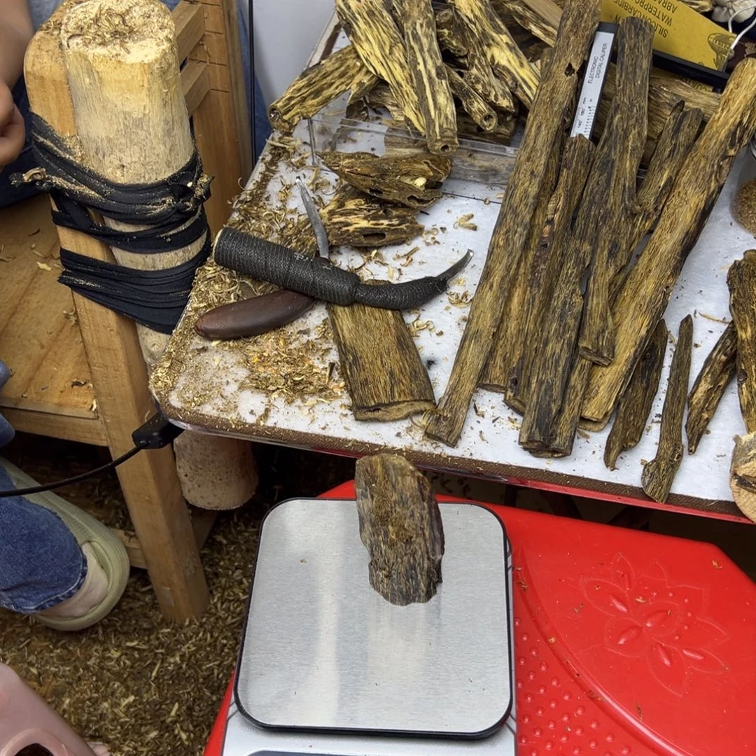 线香奇楠虫漏香48克