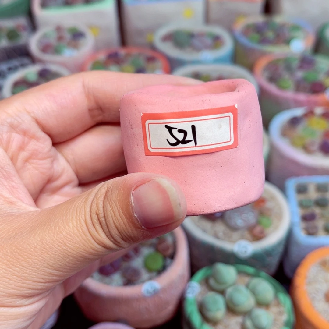 521。8888888888888888888