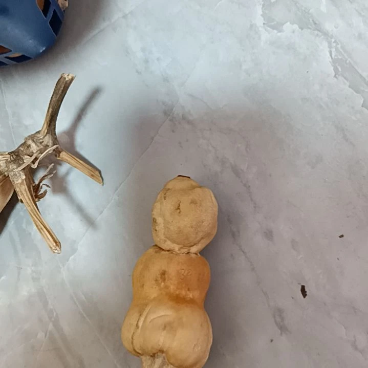 葫芦葫芦葫芦葫芦