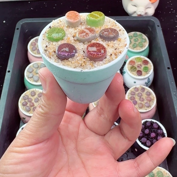 852凑满8包邮零下地区记得拍保温箱