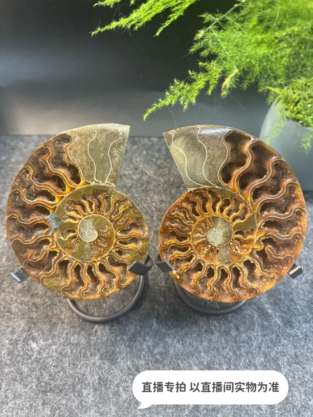 家居摆件，桌面摆件-2（直播专用勿乱拍）