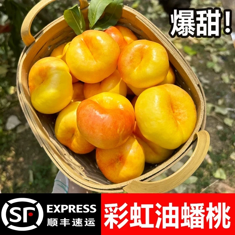 【山东蒙阴彩虹油蟠】桃新鲜应季水果黄心甜嫩多汁一整箱顺丰包邮