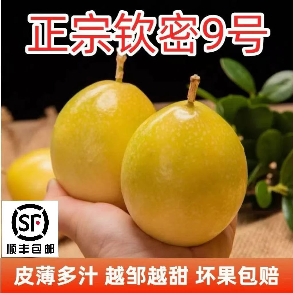 海南正宗新鲜采摘酸甜可口钦蜜9号百香果应季孕妇水果