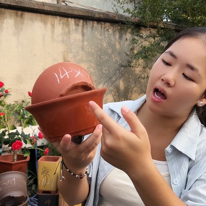红泥碗盆中小一对