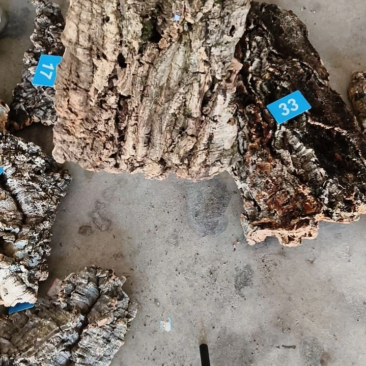 木一物一发一物一拍