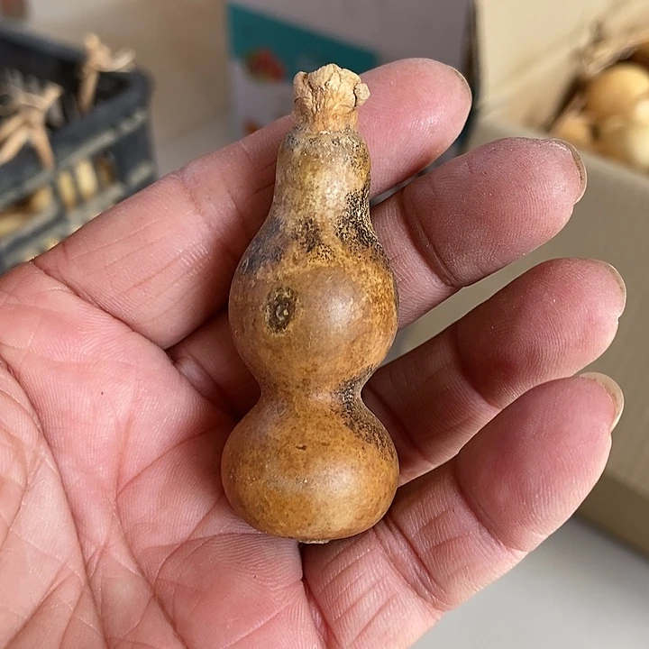 a s f f g d s x c x s