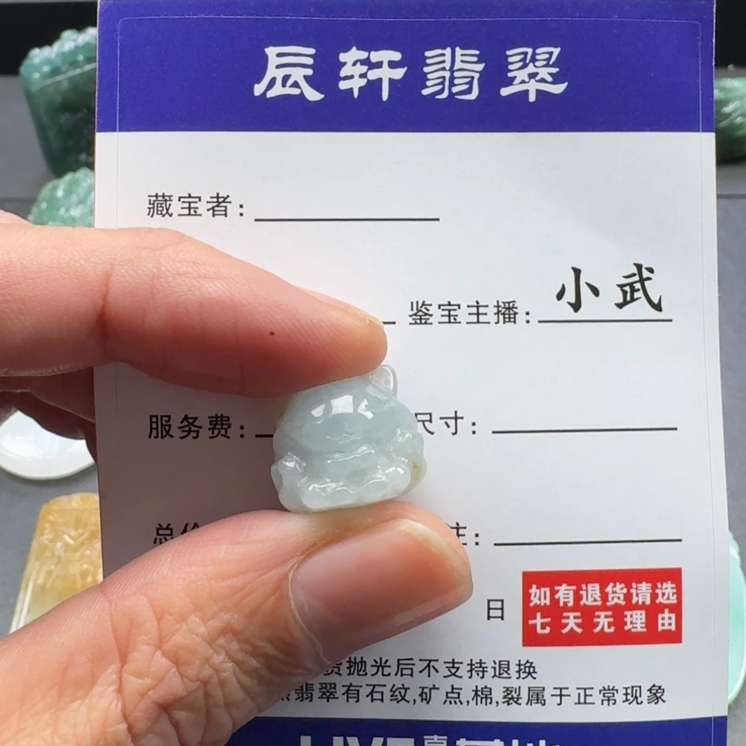 翡翠未镶嵌颈饰    1