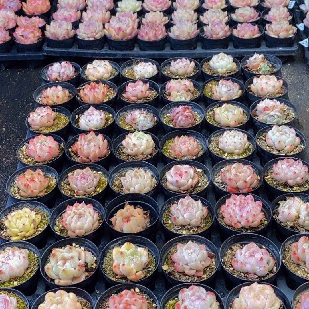 849的自我介绍一下我们