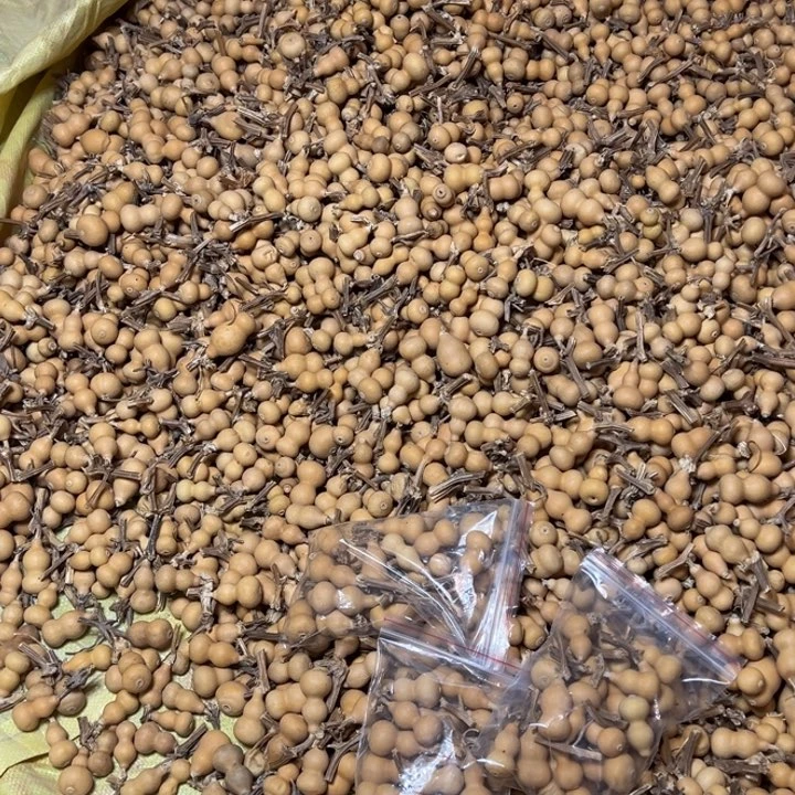 生打皮40米草里金葫芦