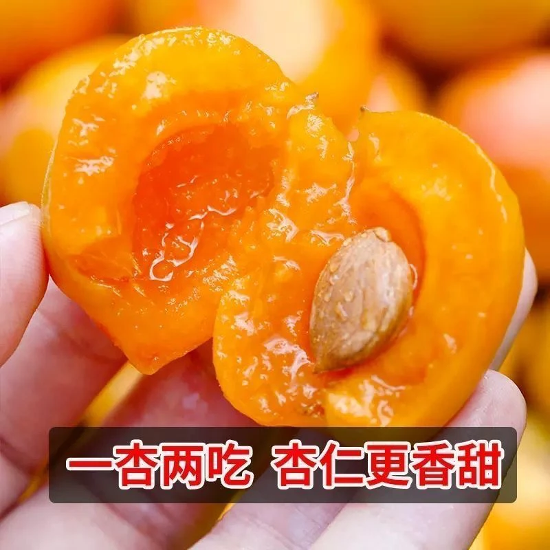 新疆阿克苏吊干杏，香甜多汁原筐3-3.5斤，顺丰包邮新疆维吾尔自治区