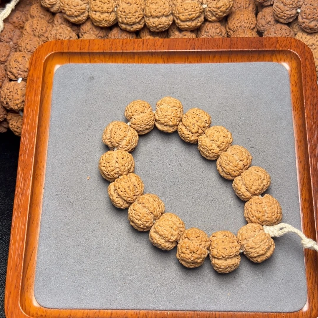 5号尼泊尔大金刚22粗筋梅花五龙梁