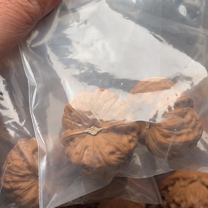 文玩核桃把件w****g门头沟元宝