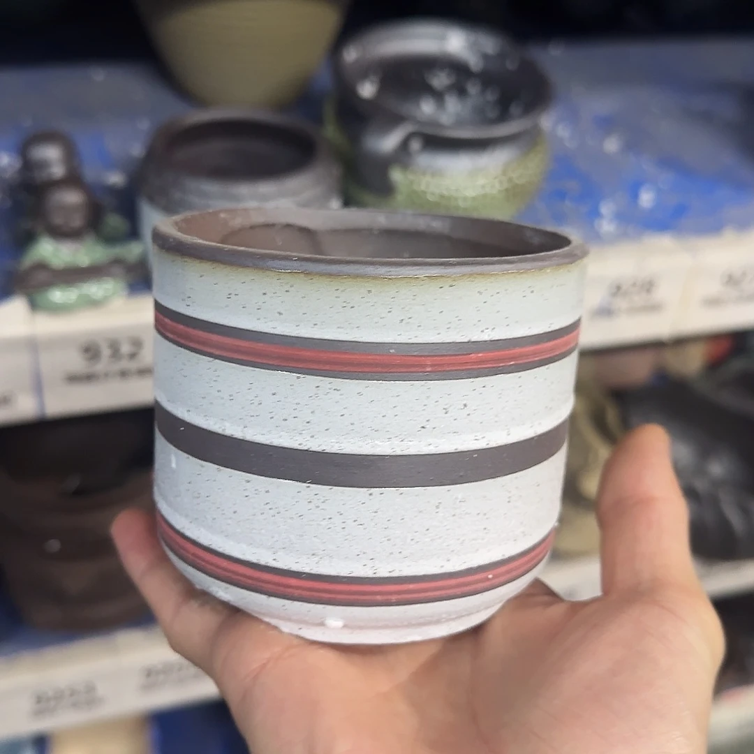 福利局绿植多肉盆［凑9元包邮24小时发］816