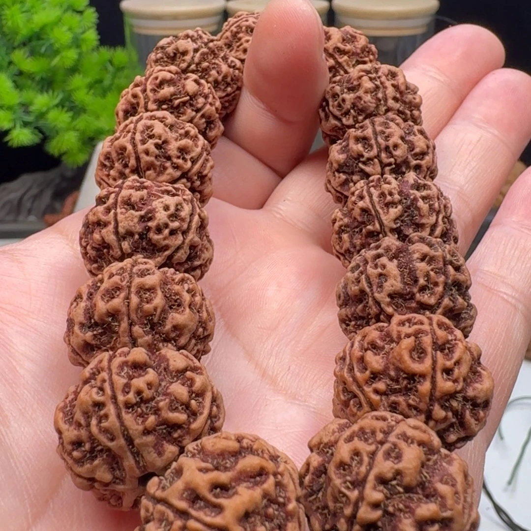 手串金刚菩提梁梅花