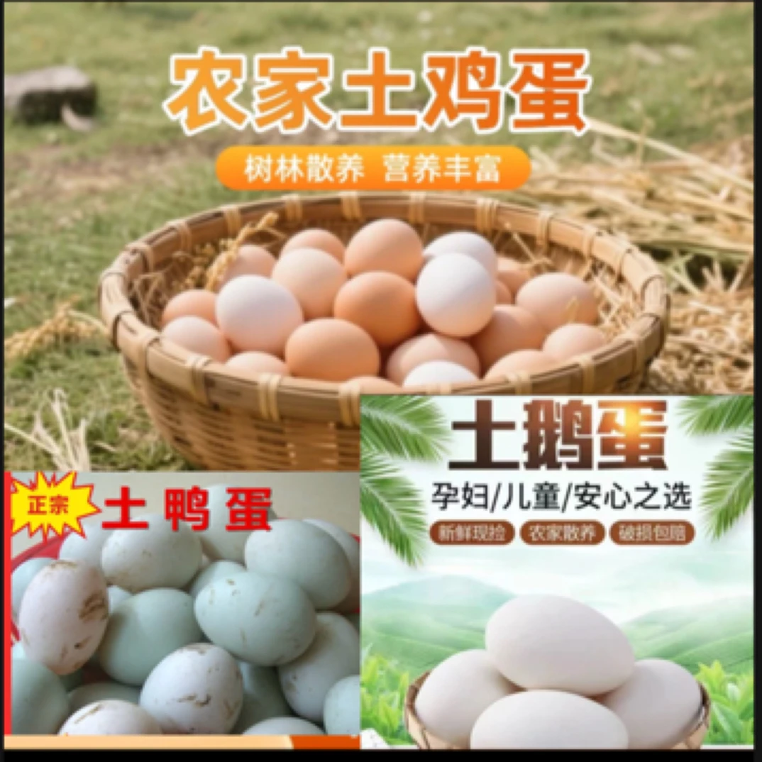 贵州大山农家散养新鲜土鹅蛋 土鸡蛋 土鸭蛋 营养美味适合孕妇