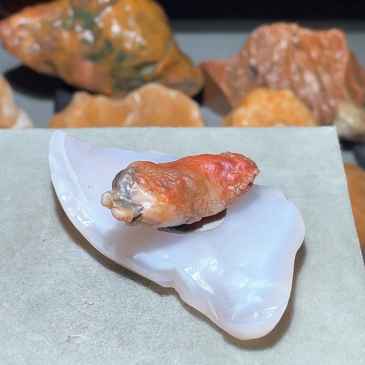 石材孤**者阿拉善奇石