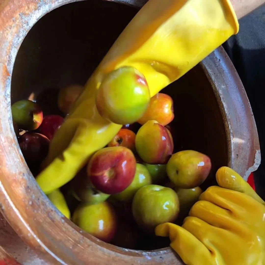 老潮汕拖桃，拖李，拖青芒条，三拼混合装，腌制水果。顺丰包邮