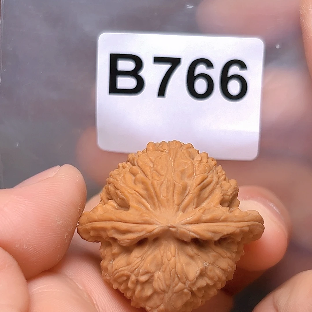 核桃38➕。白狮子。