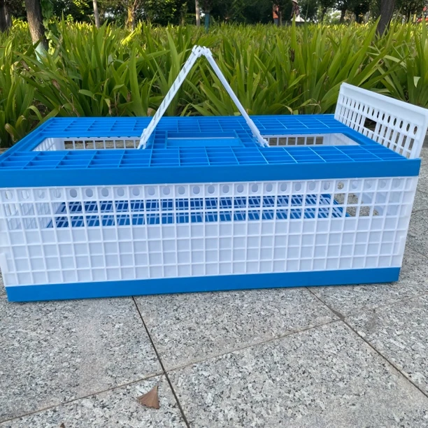 信鸽赛鸽用品塑料放飞笼加厚训放笼报到笼集鸽笼训鸽笼鸽笼鸽具