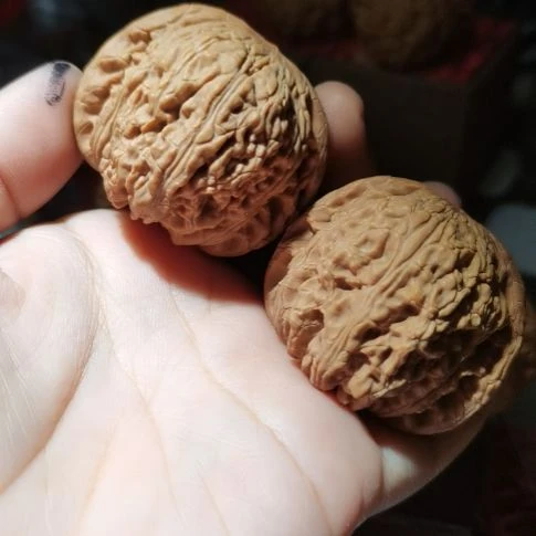 猴头核桃吊坠45泥鳅背