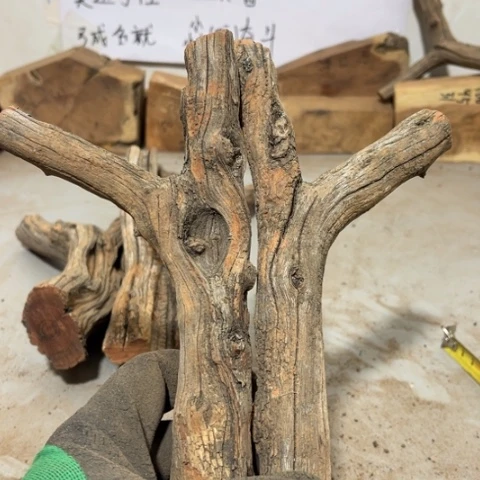 大果紫檀（缅甸花梨）留****春