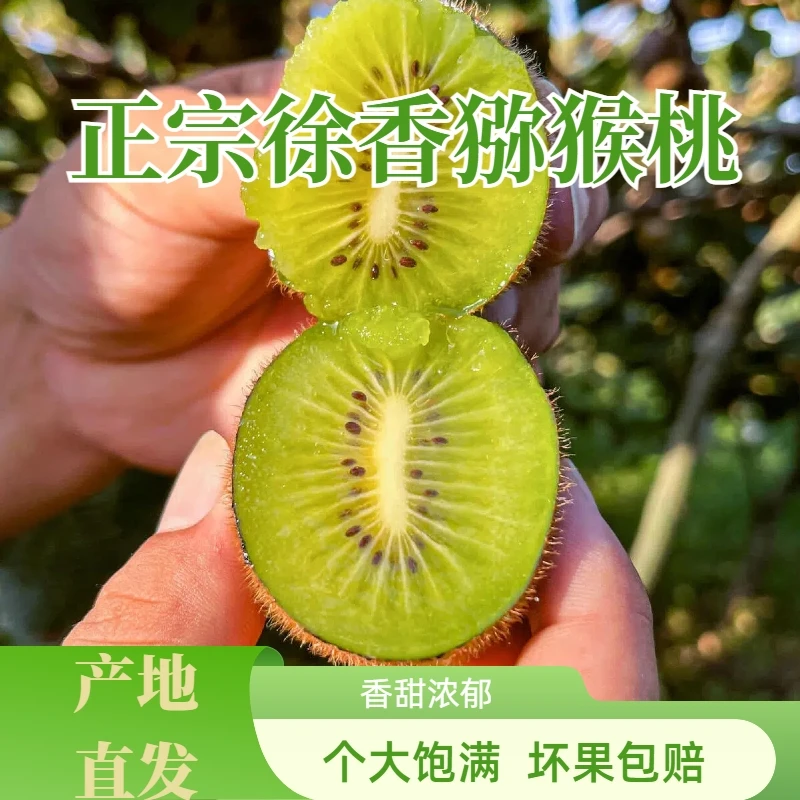 【催软食用】陕西正宗徐香绿心猕猴桃香甜多汁-L