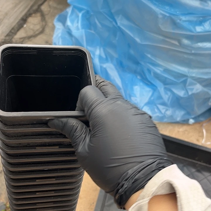 黑方万象口10高14一组12个