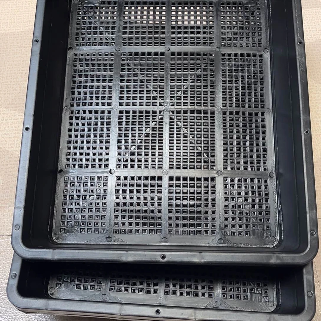 大号育苗框30×37黑5个无托