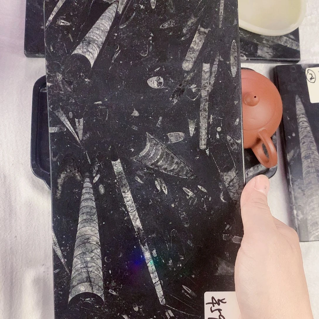 国***练化石茶盘干泡台摆件