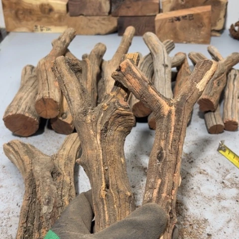 大果紫檀（缅甸花梨）临****）