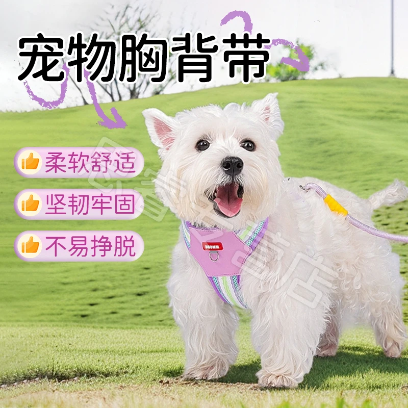 【宠大条】狗狗胸背炫彩多巴胺色宠物牵引绳比熊博美户外遛狗牵引绳