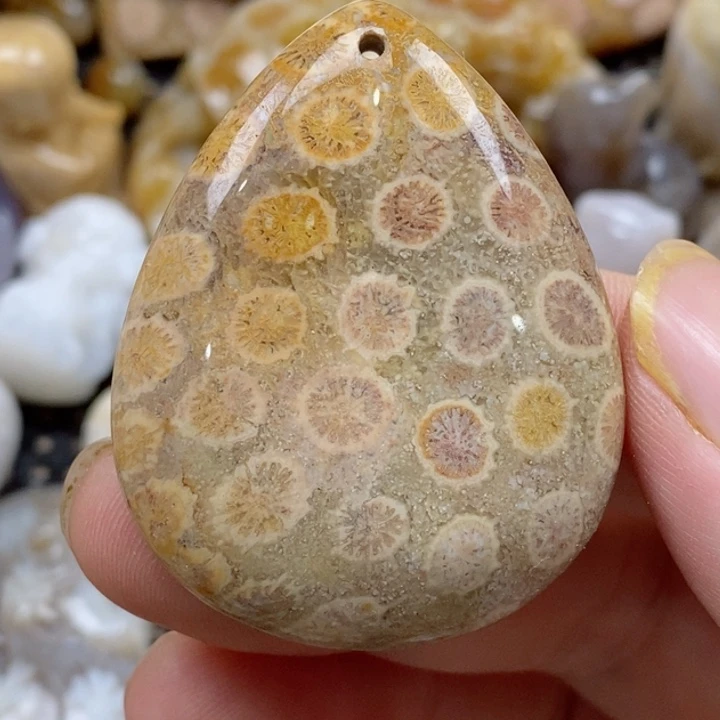 颈饰未镶嵌硅化珊瑚（珊瑚玉）