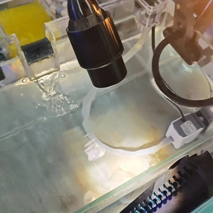 海水鱼无法南美射灯待定时三色变光变焦。